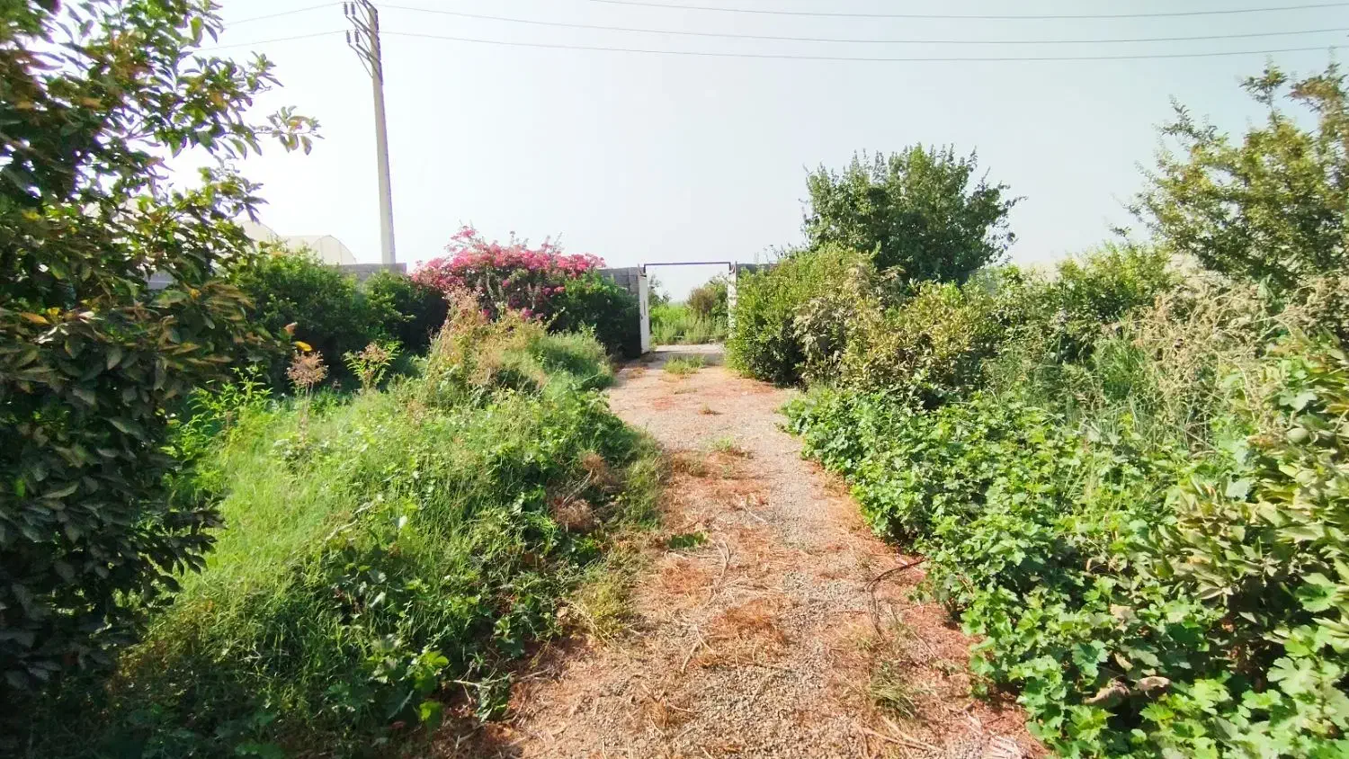 باغچه|فروش دفتر صنعتی، کشاورزی، تجاری|اهواز, کوی ملی راه|دیوار