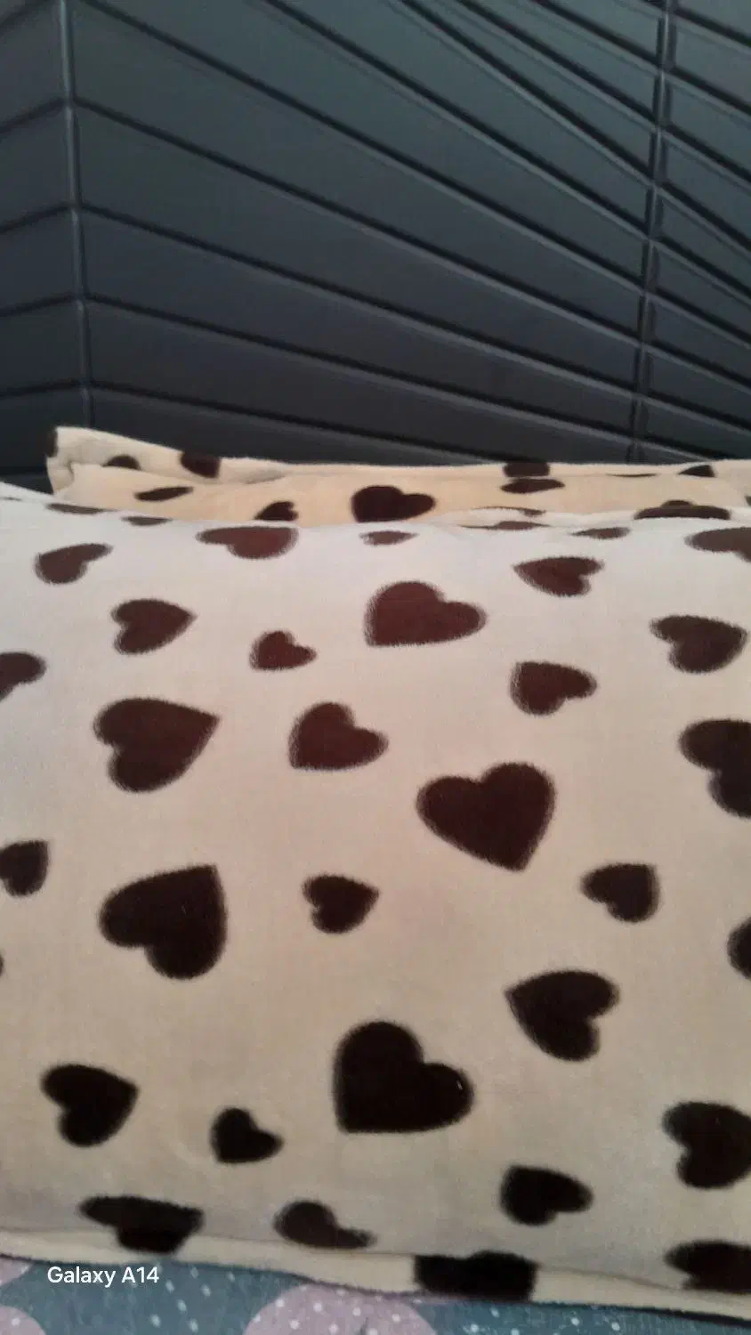 ۶ عدد روبالشی مخمل درحدنو|رختخواب، بالش، پتو|مشهد, شهرک صنعتی توس|دیوار