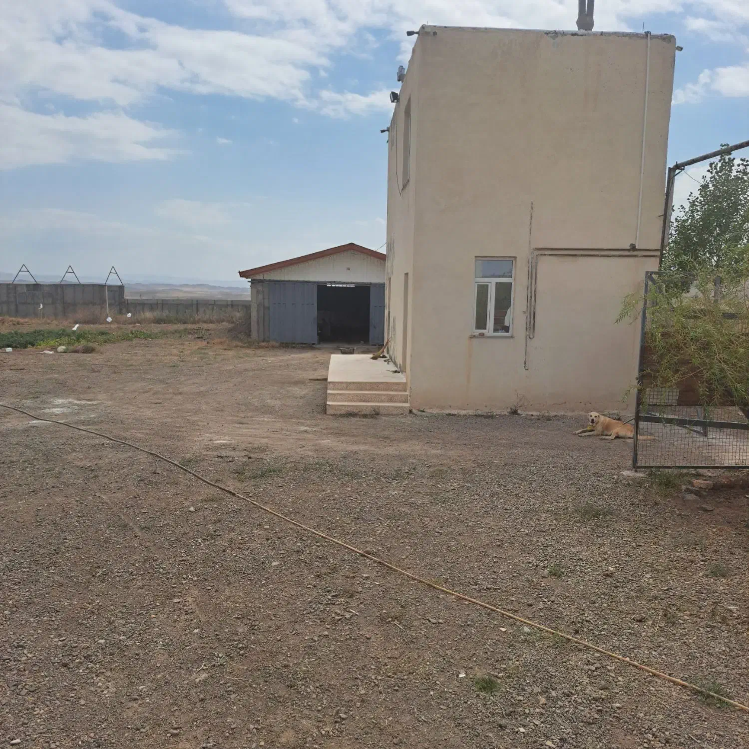 ۱۲ هکتار با ۷۰۰۰ متر گاوداری با مجوز و امکانات|فروش دفتر صنعتی، کشاورزی، تجاری|مرادلو, |دیوار