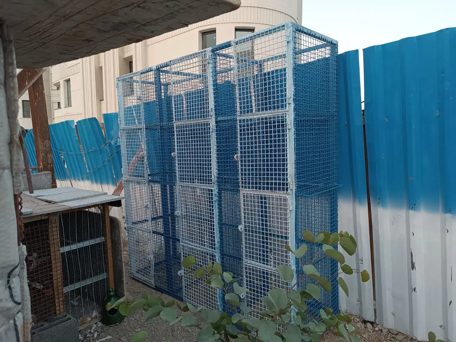 گنجه قفس جفت کن کبوتر کفترطوقی|لوازم جانبی حیوانات|تهران, مروارید شهر|دیوار