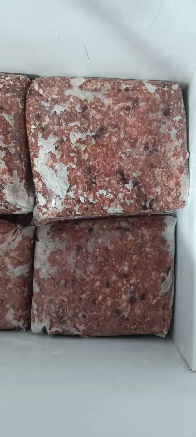 مایه خود ساز کباب کوبیده|خوردنی و آشامیدنی|مشهد, شهرک صنعتی توس|دیوار