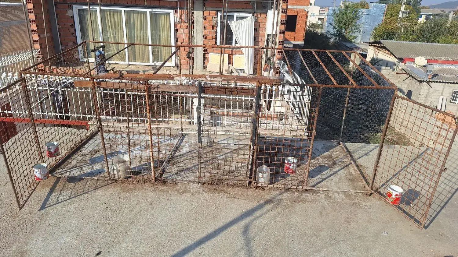 کلو مرغ وکفتر|لوازم جانبی حیوانات|رامیان, |دیوار