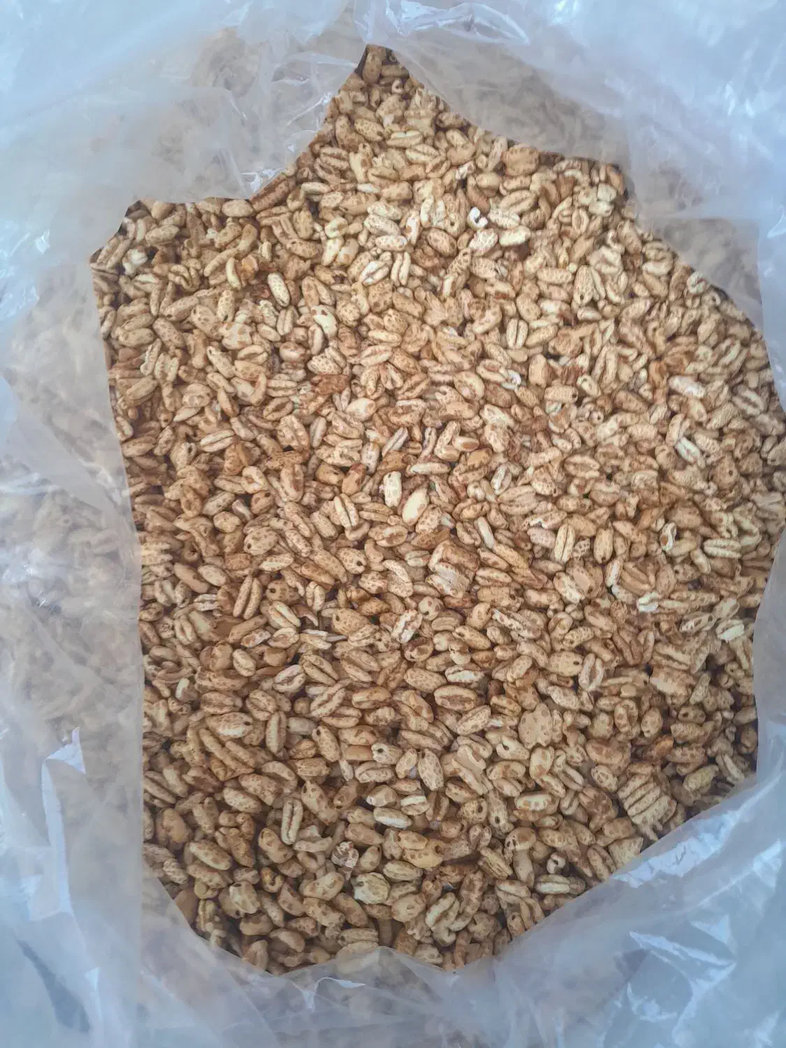 گندمک شیرین پخش عمده|خوردنی و آشامیدنی|محمدشهر, سیدآباد|دیوار