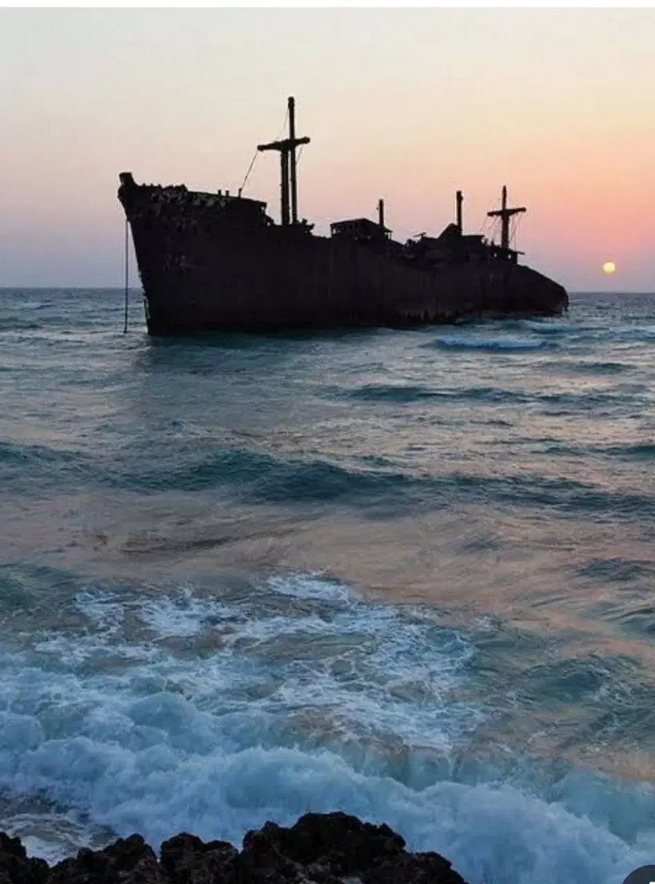 تورکیش باخدمات ویژه|تور و چارتر|تهران, ابوذر|دیوار