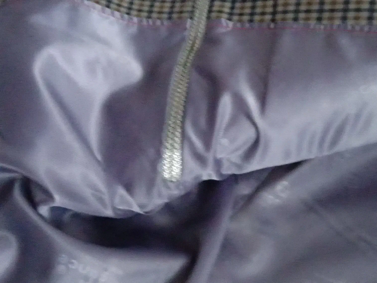 تک کت پیچا زی ایتالیایی زمستانه|لباس|رشت, کاکتوس|دیوار