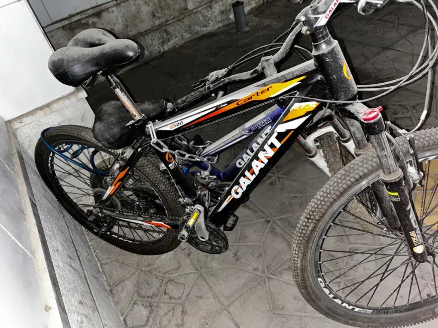 دوچرخه گالانت اصل|دوچرخه، اسکیت، اسکوتر|اصفهان, سپاهانشهر|دیوار