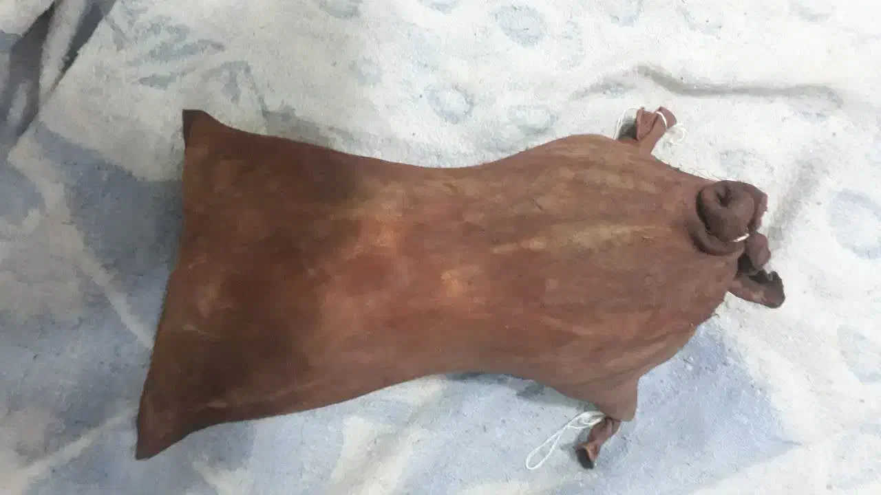 تعدای مشک|ظروف نگهدارنده، پلاستیکی، یکبارمصرف|کشکوئیه, |دیوار