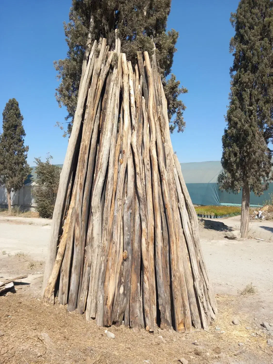 تیرچوبی گلخانه‌ای|مصالح و تجهیزات ساختمان|شهریار, رزکان|دیوار