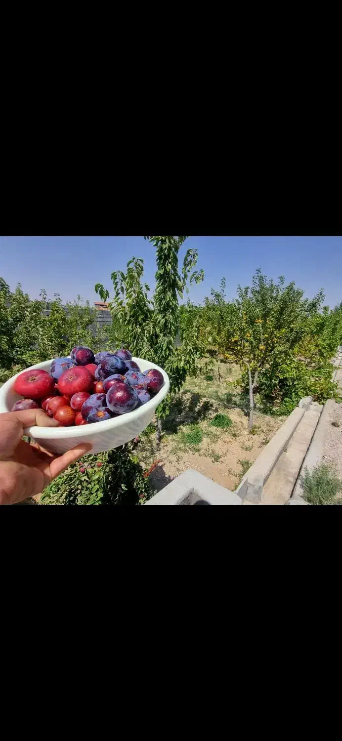 باغ بهشت تبریز سهند اسکو|فروش خانه و ویلا|اسکو, |دیوار