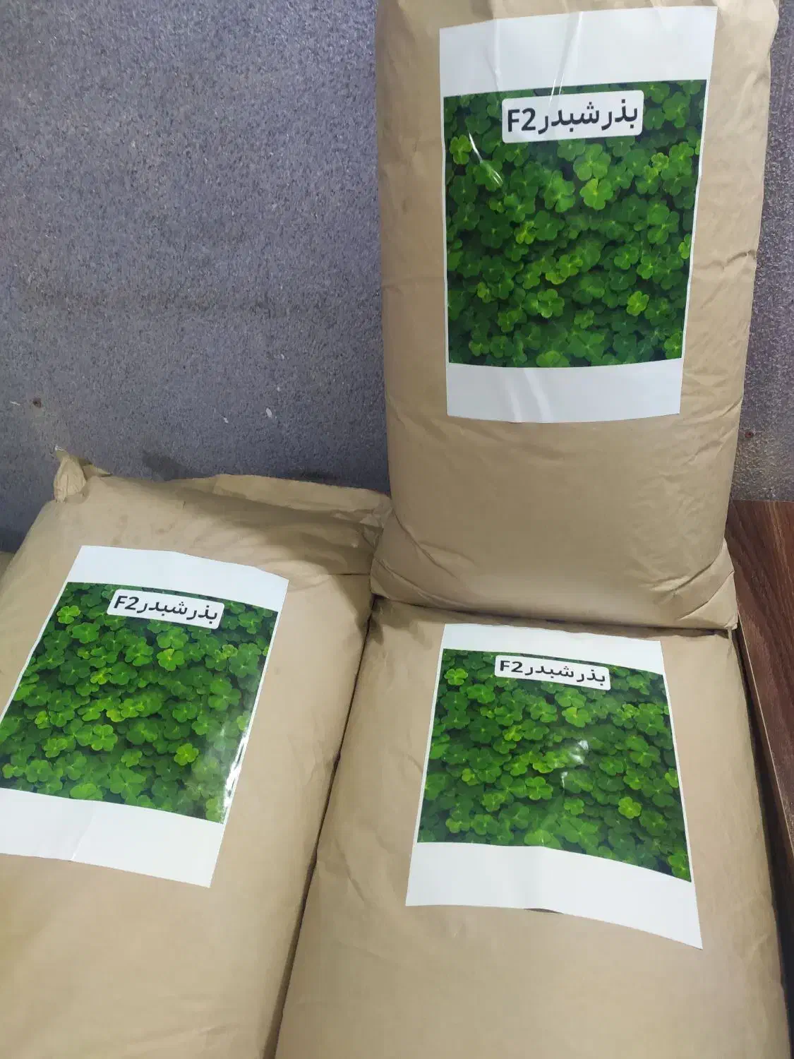 بذر شبدر برسیم|خدمات باغبانی و درختکاری|گرگان, |دیوار