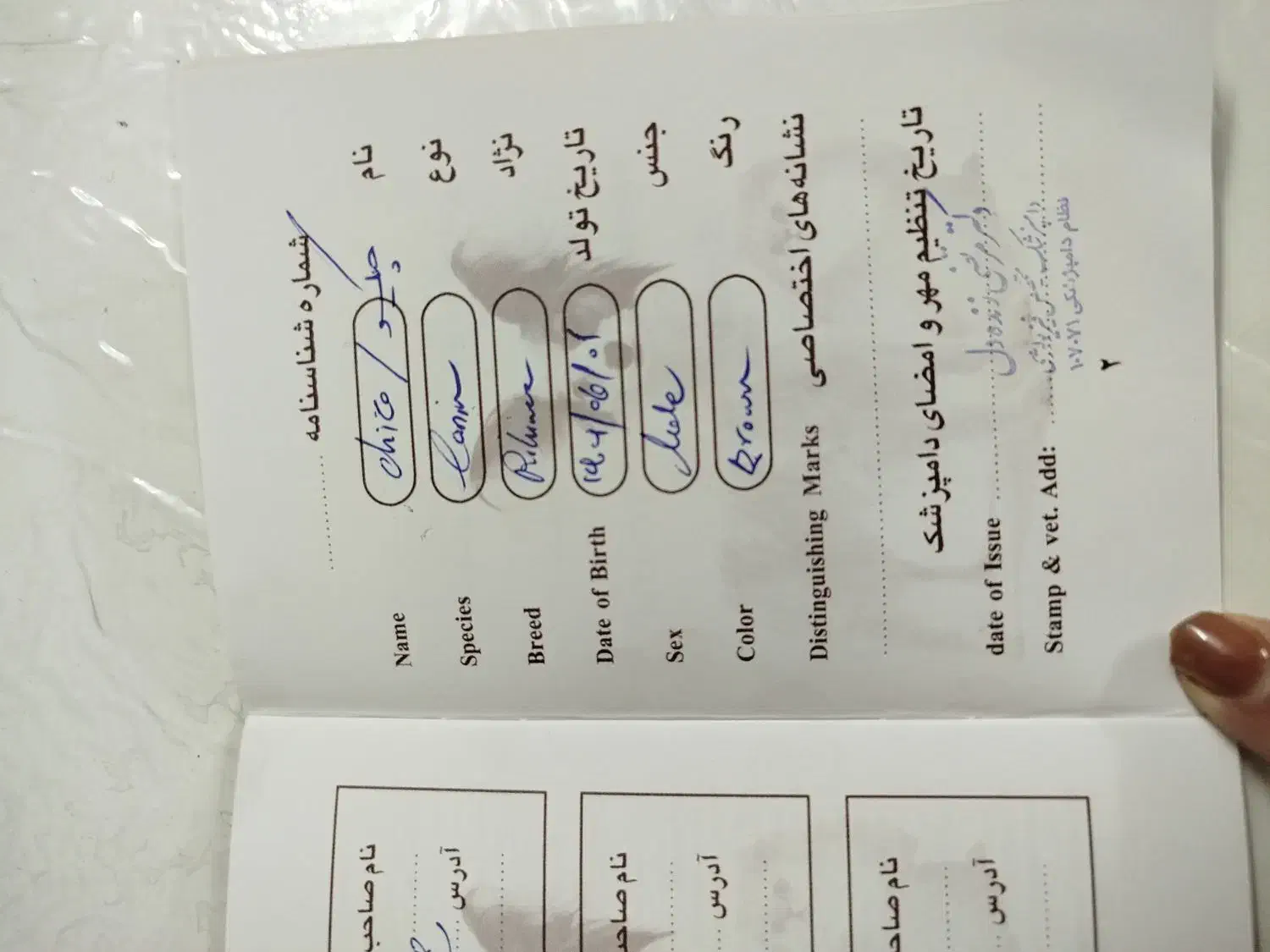 سگ سه ماه .|سگ|ری, دیلمان|دیوار