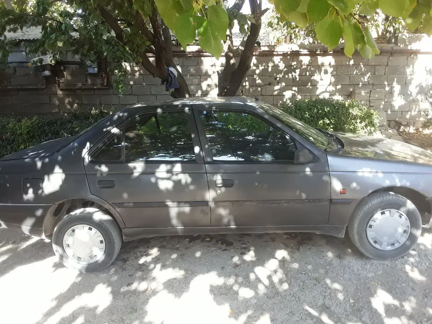 پژو روا|خودرو سواری و وانت|زاغه, |دیوار