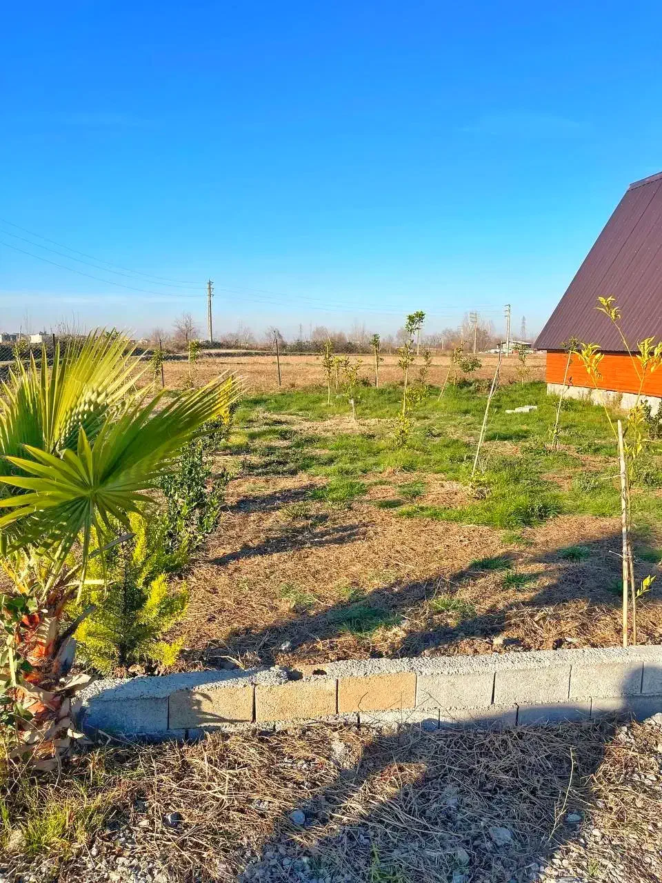 درهمسایگیجنگل ویلاتو بساز/۲۳۰مترزمین/سندتکبرگ|فروش زمین و ملک کلنگی|چمستان, |دیوار