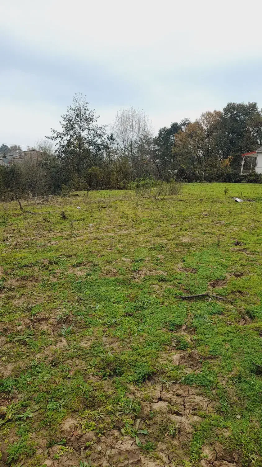 252متر/سندتکبرگ/برخیابان/استعلامات به روز|فروش زمین و ملک کلنگی|آستارا, |دیوار