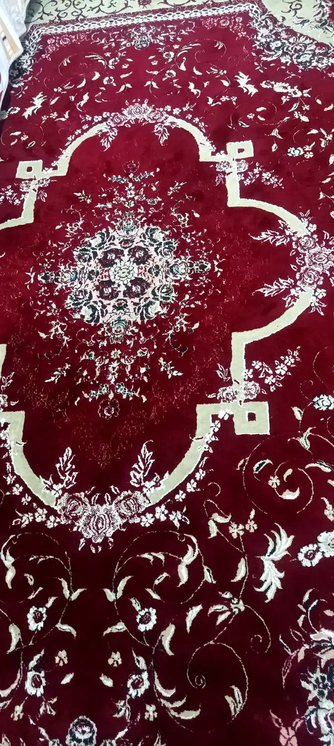 فرش 12متری|فرش|مرودشت, ثبت احوال|دیوار