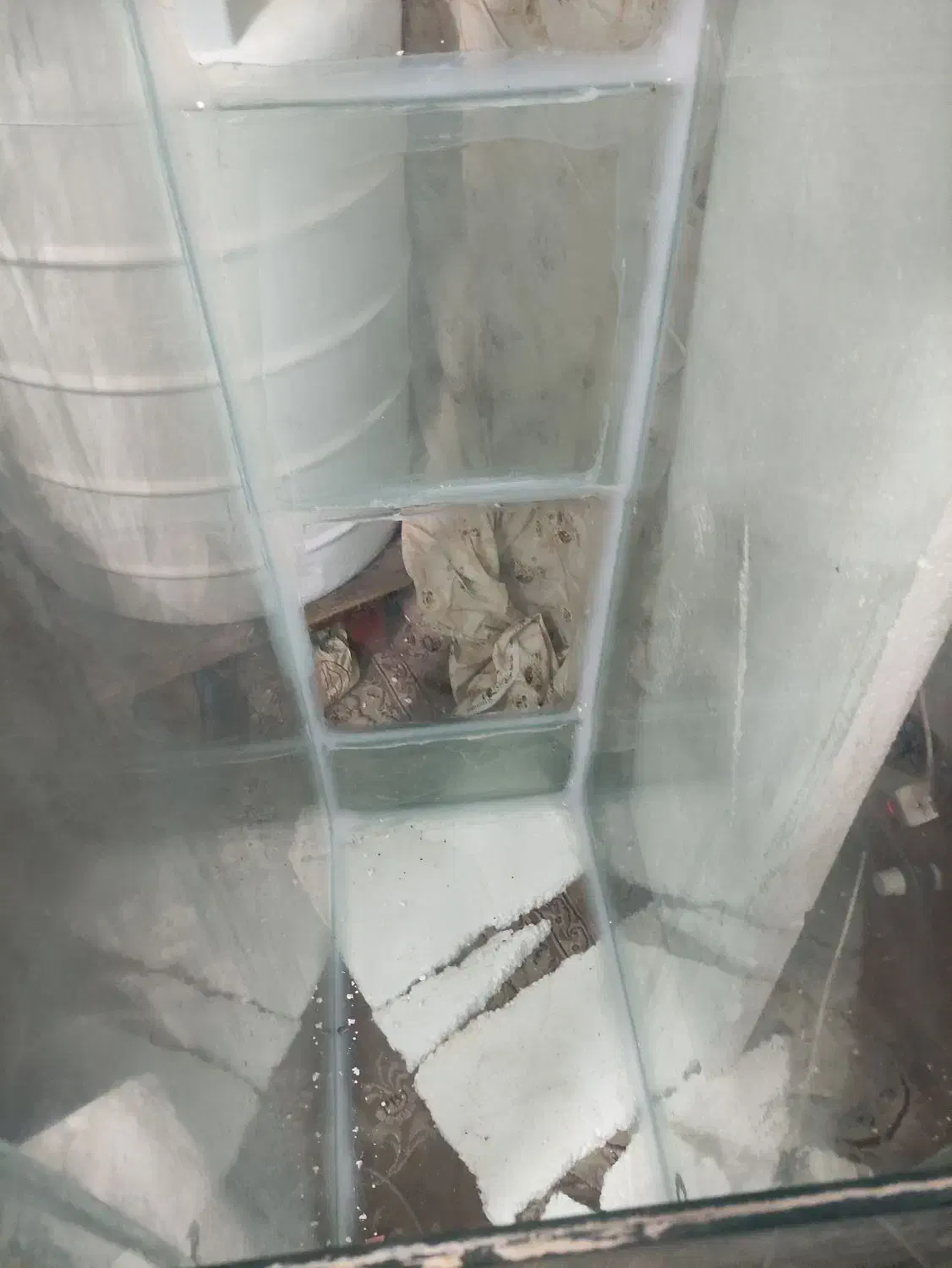 آکواریوم بزرگ|ماهی|شاهین‌شهر, عطار|دیوار