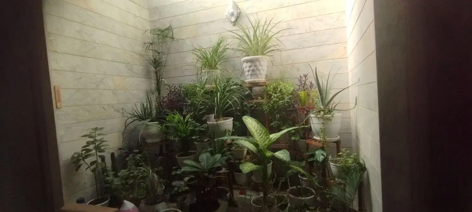 خریدارم|فروش آپارتمان|گلبهار, شهر جدید گلبهار|دیوار