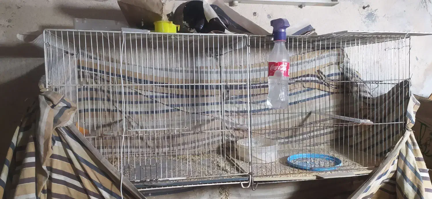 قفس|لوازم جانبی حیوانات|مشهد, آیت الله کاشانی|دیوار