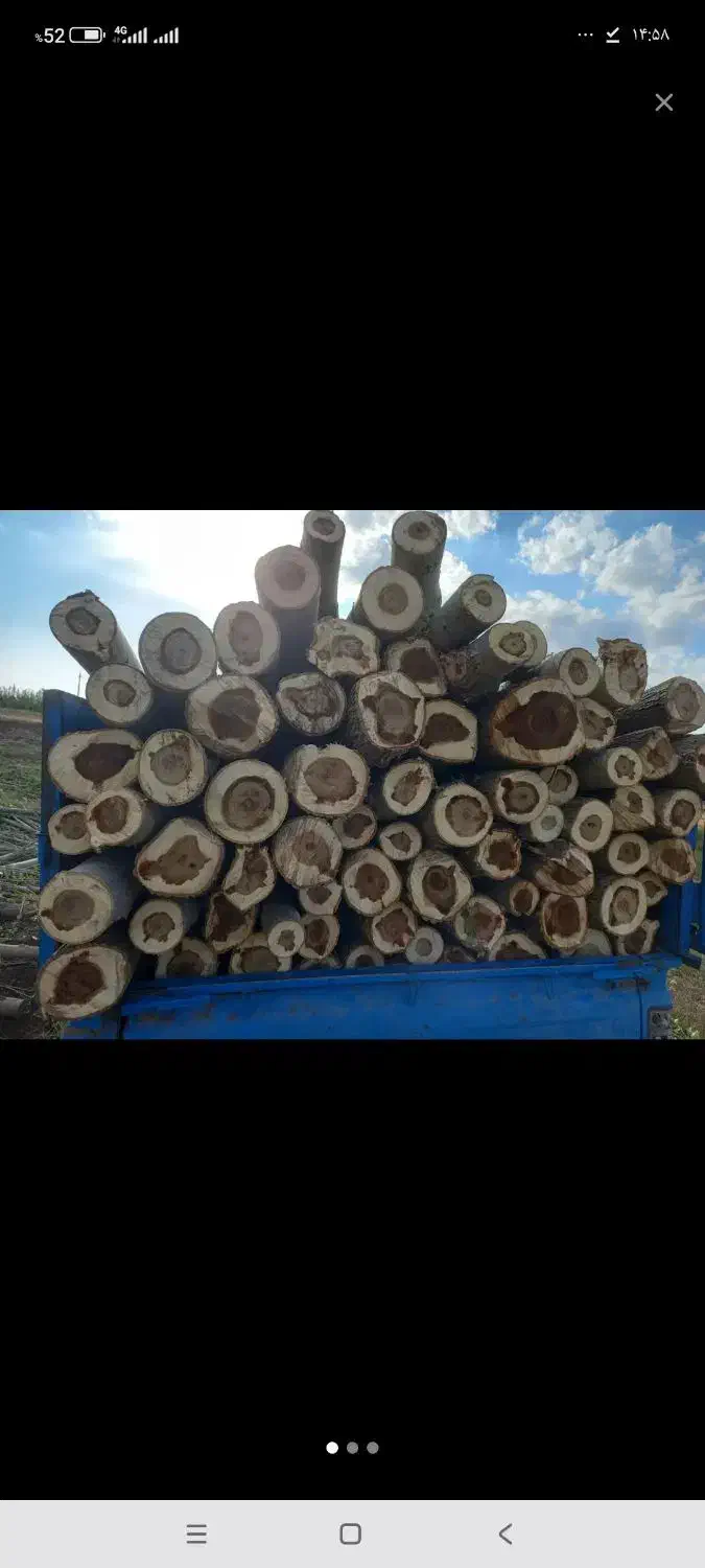 خرید همه نوع چوب|خدمات باغبانی و درختکاری|اردبیل, |دیوار