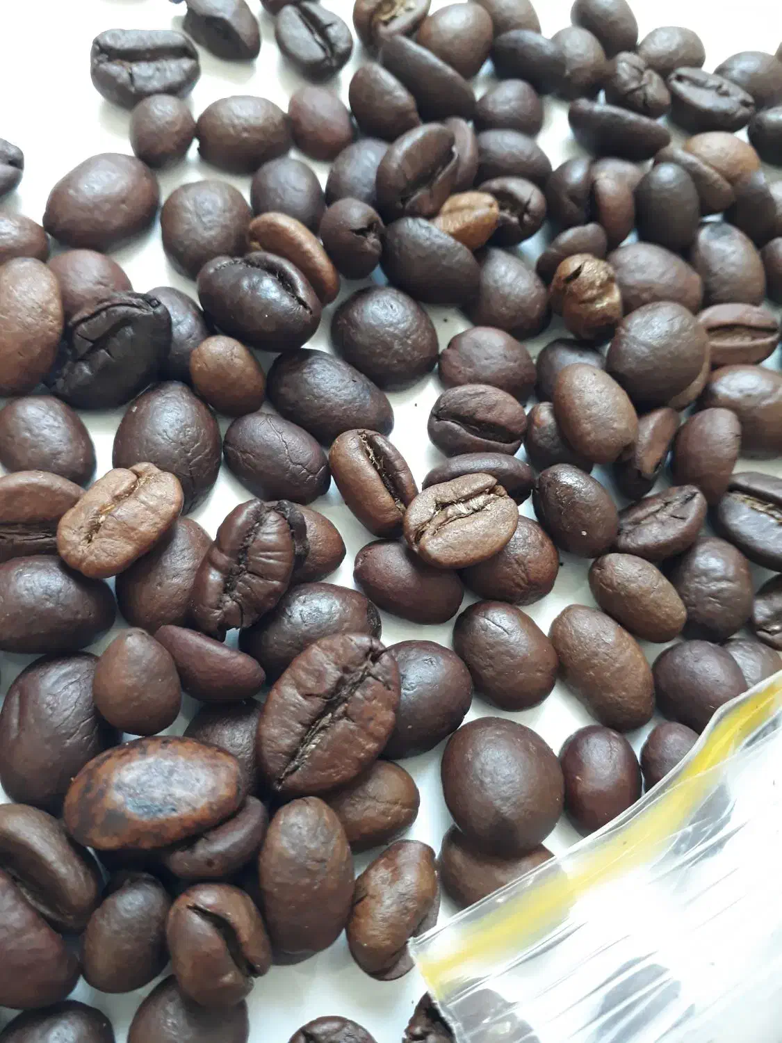 فروش کلی و جزئی قهوه با ارسال رایگان در گیلان|کافی‌شاپ و رستوران|رشت, بازار|دیوار