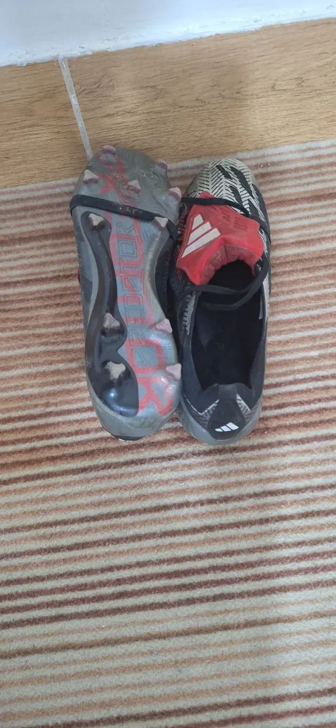 کفش پریدیتور۳۰بلینگهام|تجهیزات ورزشی|یاسوج, |دیوار