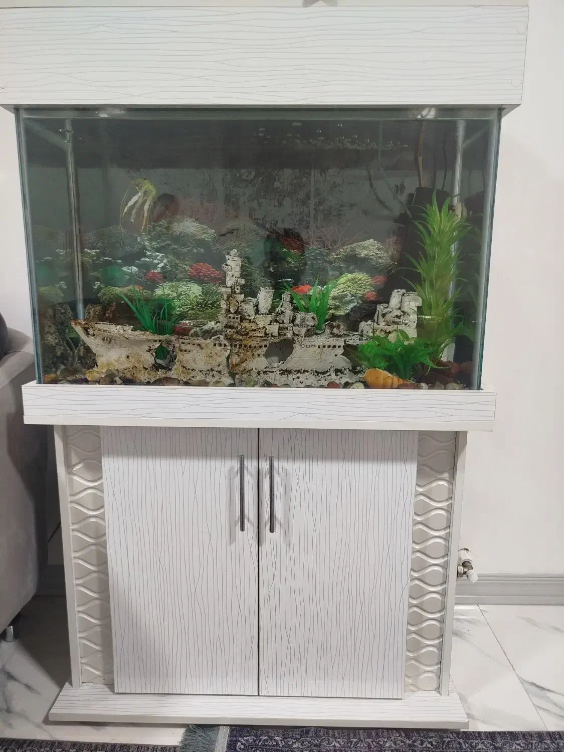 آکواریم|ماهی|کهریزک, |دیوار