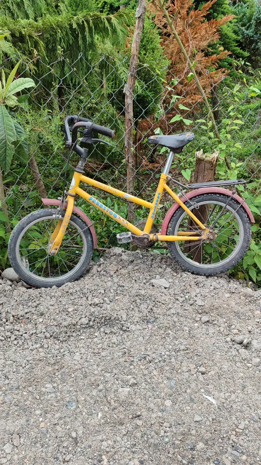 دوچرخه|دوچرخه، اسکیت، اسکوتر|تنکابن, |دیوار