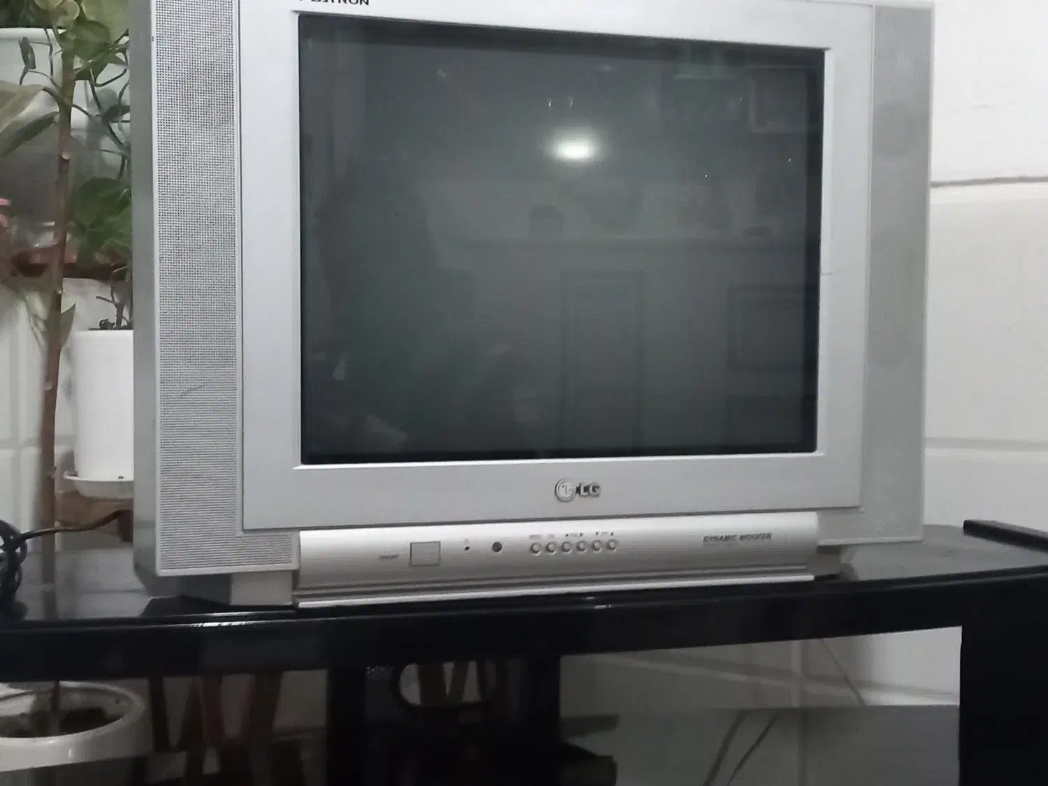 لوازم خانگی|تلویزیون و پروژکتور|مرودشت, ژیان|دیوار