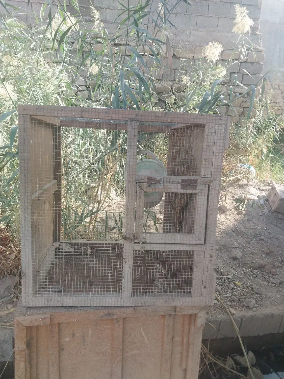 قفس  فروشی|لوازم جانبی حیوانات|امیدیه, |دیوار