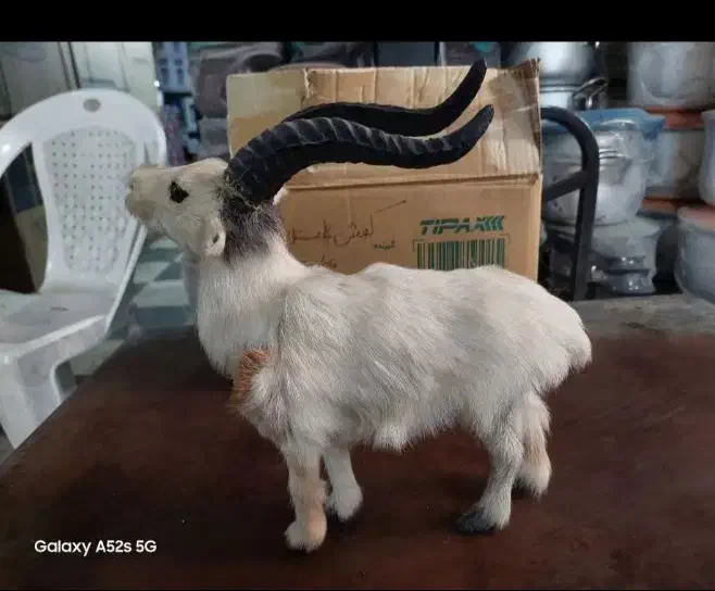 بز مصنوئی دست ساز|صنایع دستی و سایر لوازم تزئینی|تهران, سازمان برنامه جنوبی|دیوار