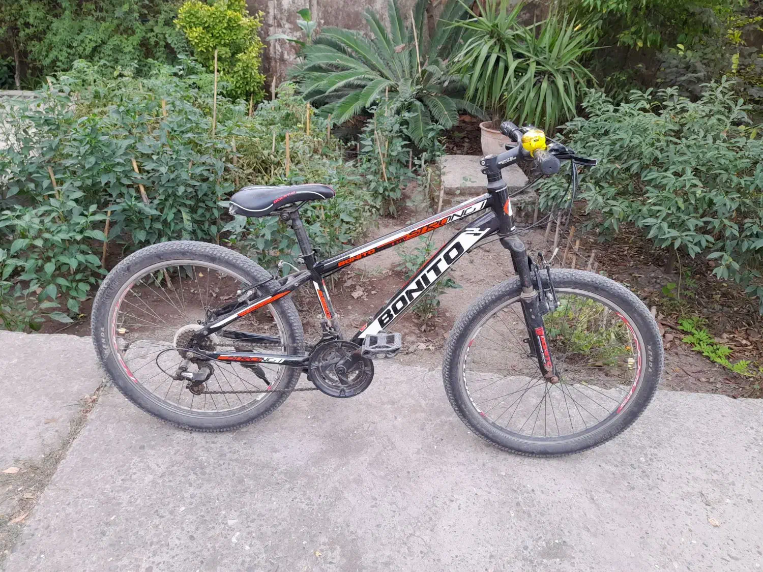 سایز بیست و چهار|دوچرخه، اسکیت، اسکوتر|رشت, جانبازان|دیوار