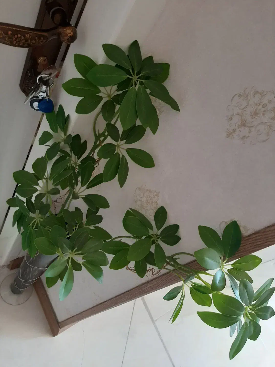 گل مصنوعی و گلدان|گل مصنوعی|شیراز, شیمی گیاه|دیوار