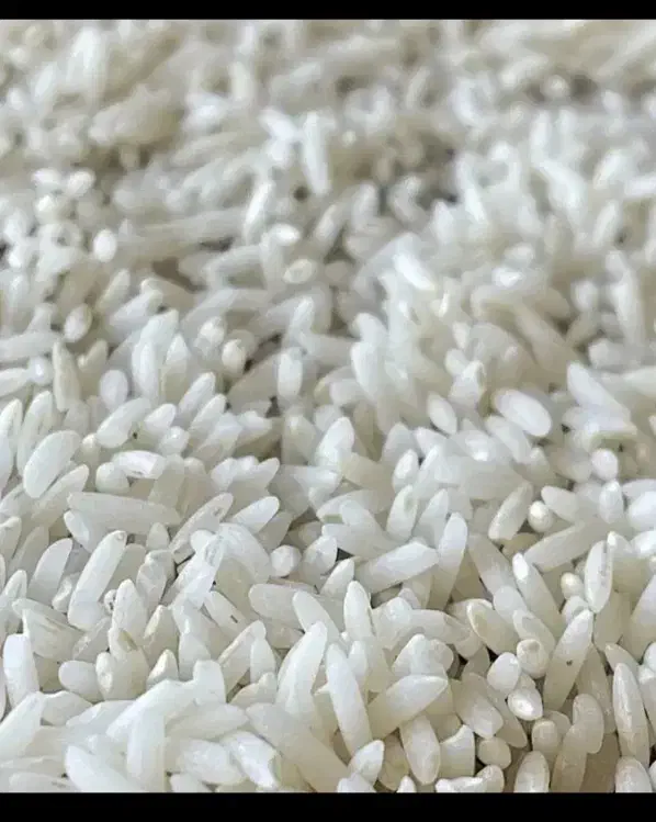 فروش برنج محلی|عمدهفروشی|دورود, |دیوار