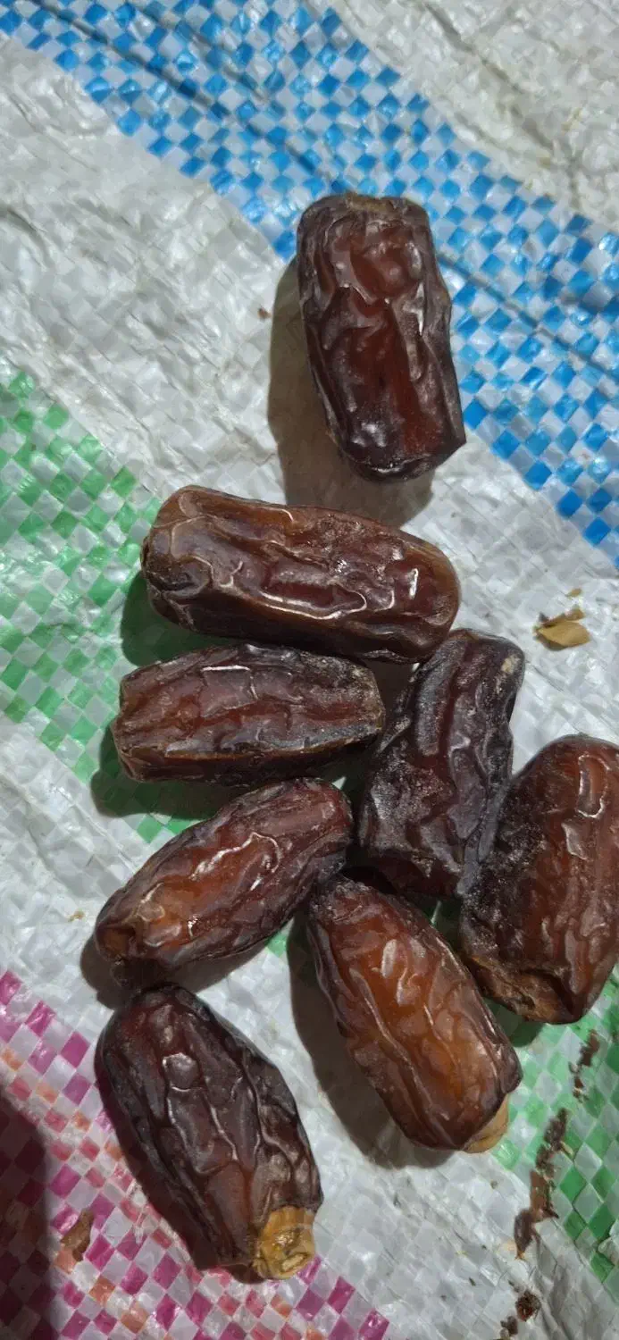 خرمای خشک بلوچستان|خوردنی و آشامیدنی|سیب و سوران, |دیوار