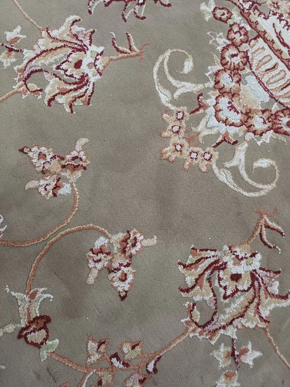 فرش 6 متری کاملا سالم پرز بلند|فرش|رشت, استقامت ۱|دیوار