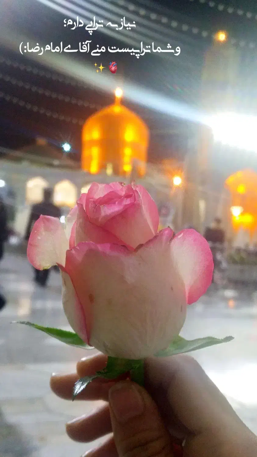 تور مشهد مقدس|تور و چارتر|زرین دشت (فارس), |دیوار