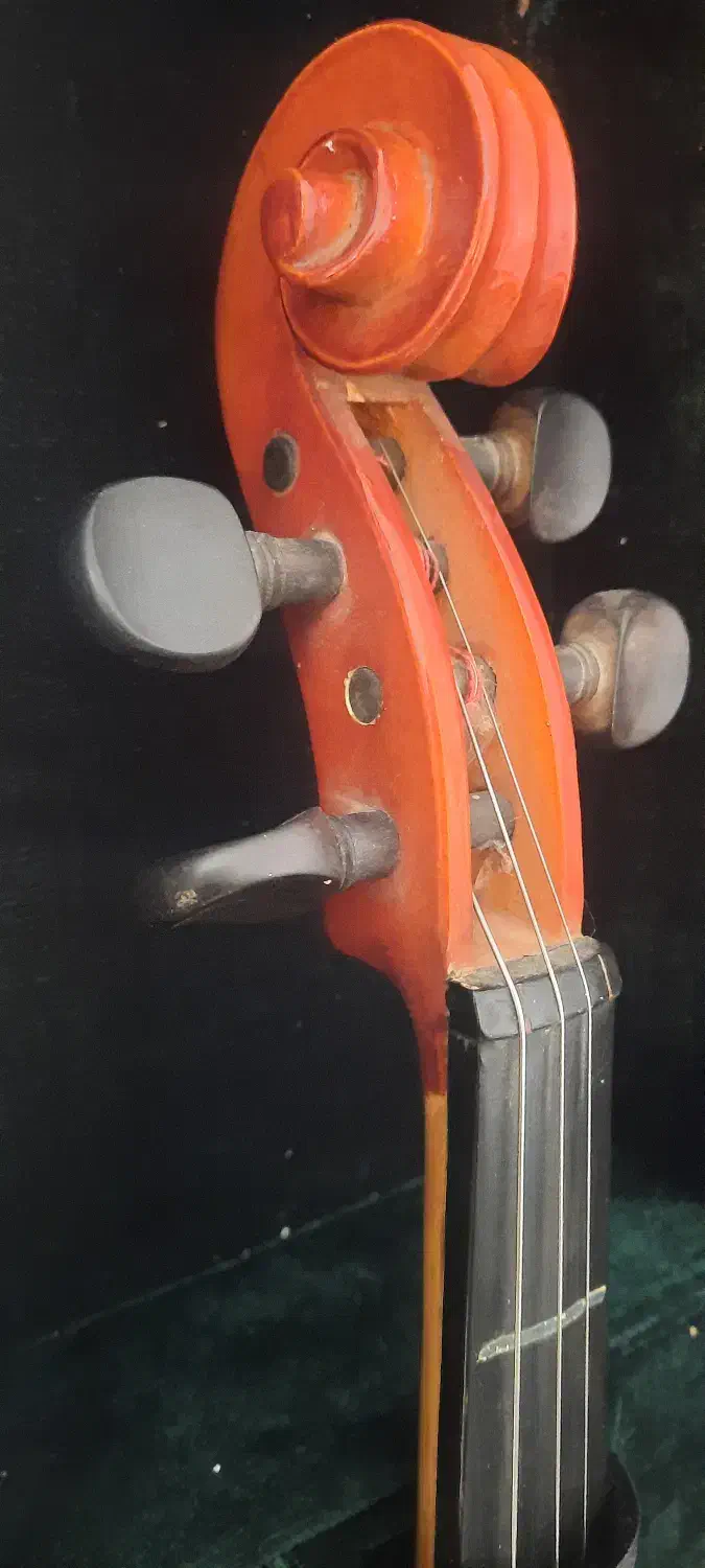 ویولن T.F 142 4/4|ویولن|شیروان (خراسان), |دیوار