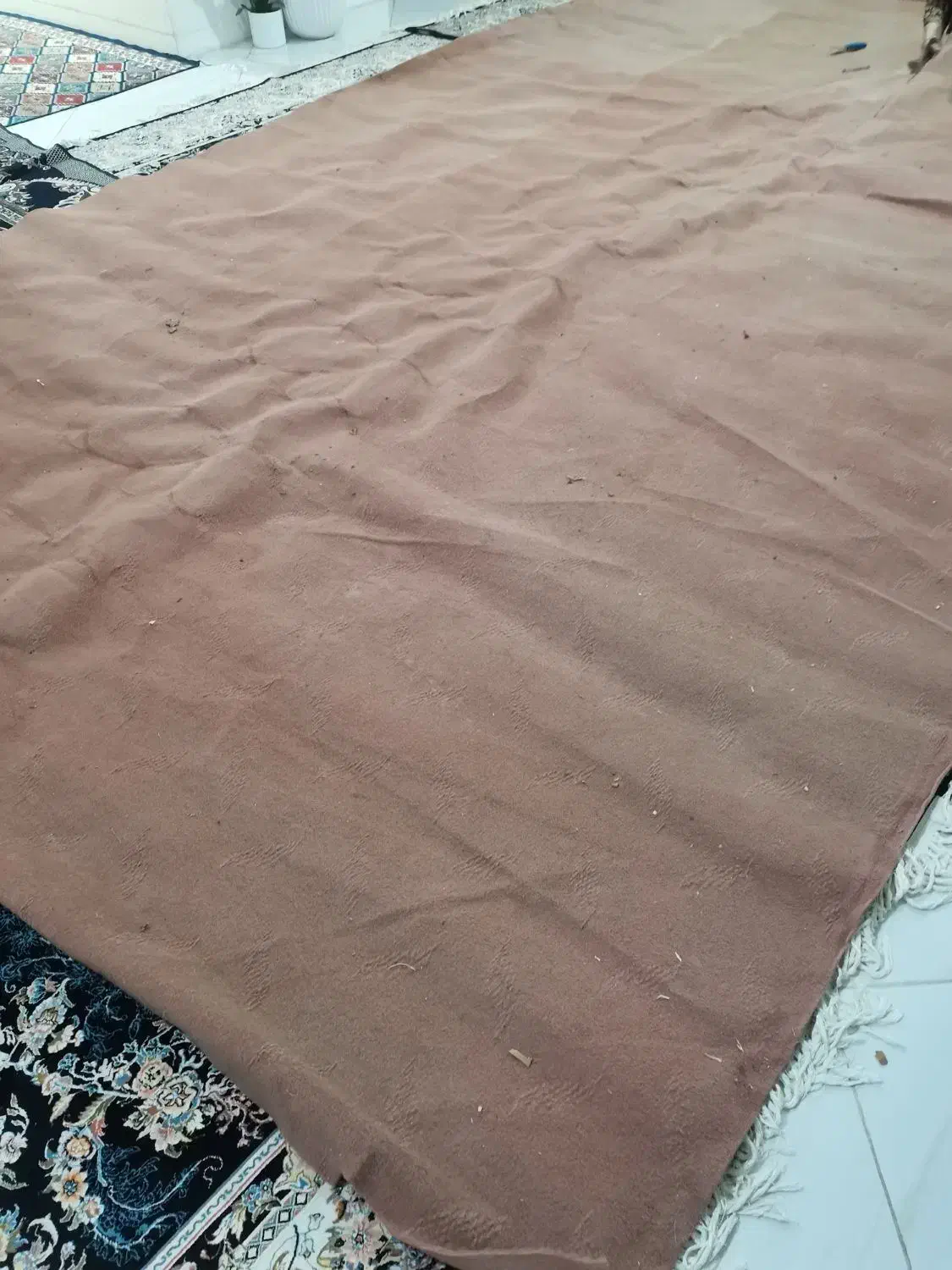 موکت 15متری|موکت|نورآباد, |دیوار