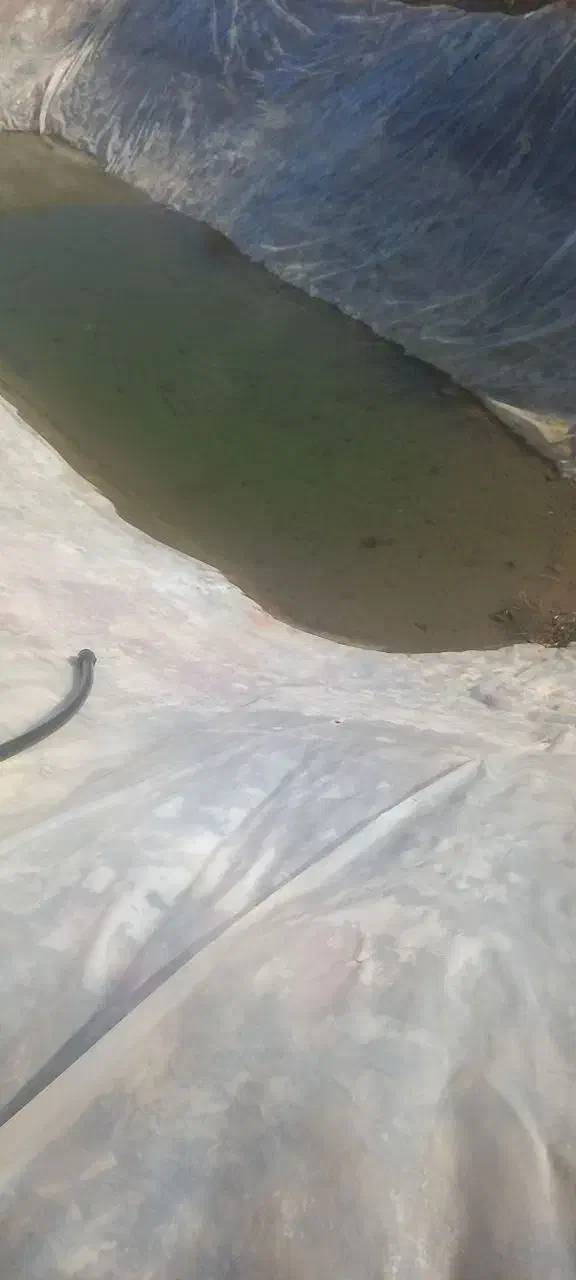 باغ ۵۰۰۰ متری|فروش زمین و ملک کلنگی|فریمان, |دیوار