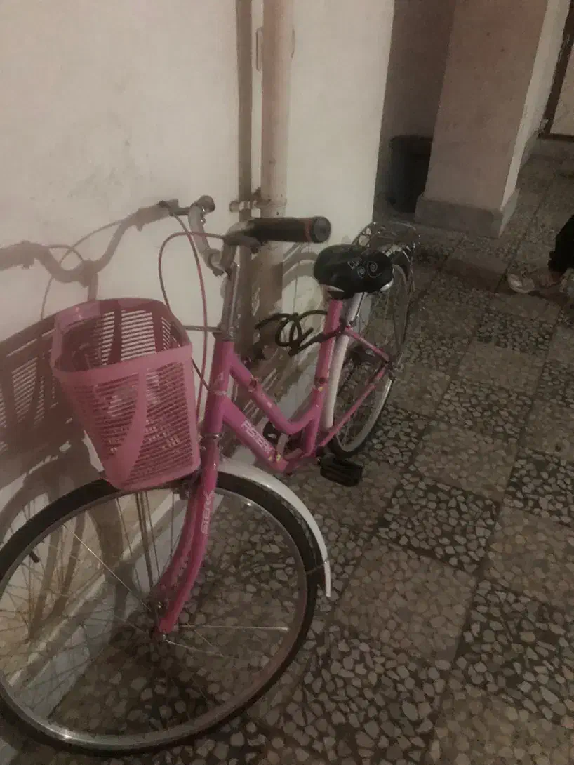 دوچرخه ۲۴|دوچرخه، اسکیت، اسکوتر|رشت, کوی جام جم|دیوار