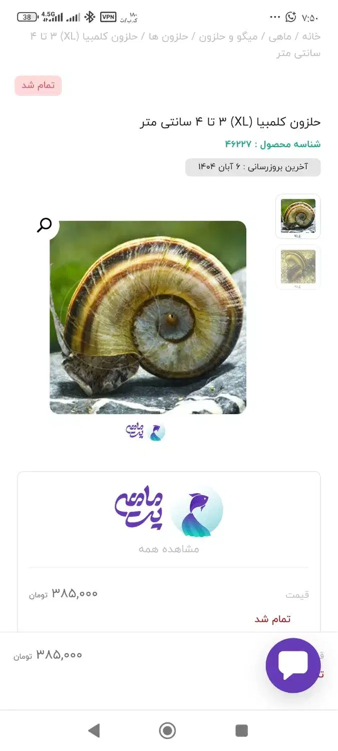 حلزون آکواریومی|ماهی|ماهدشت, |دیوار