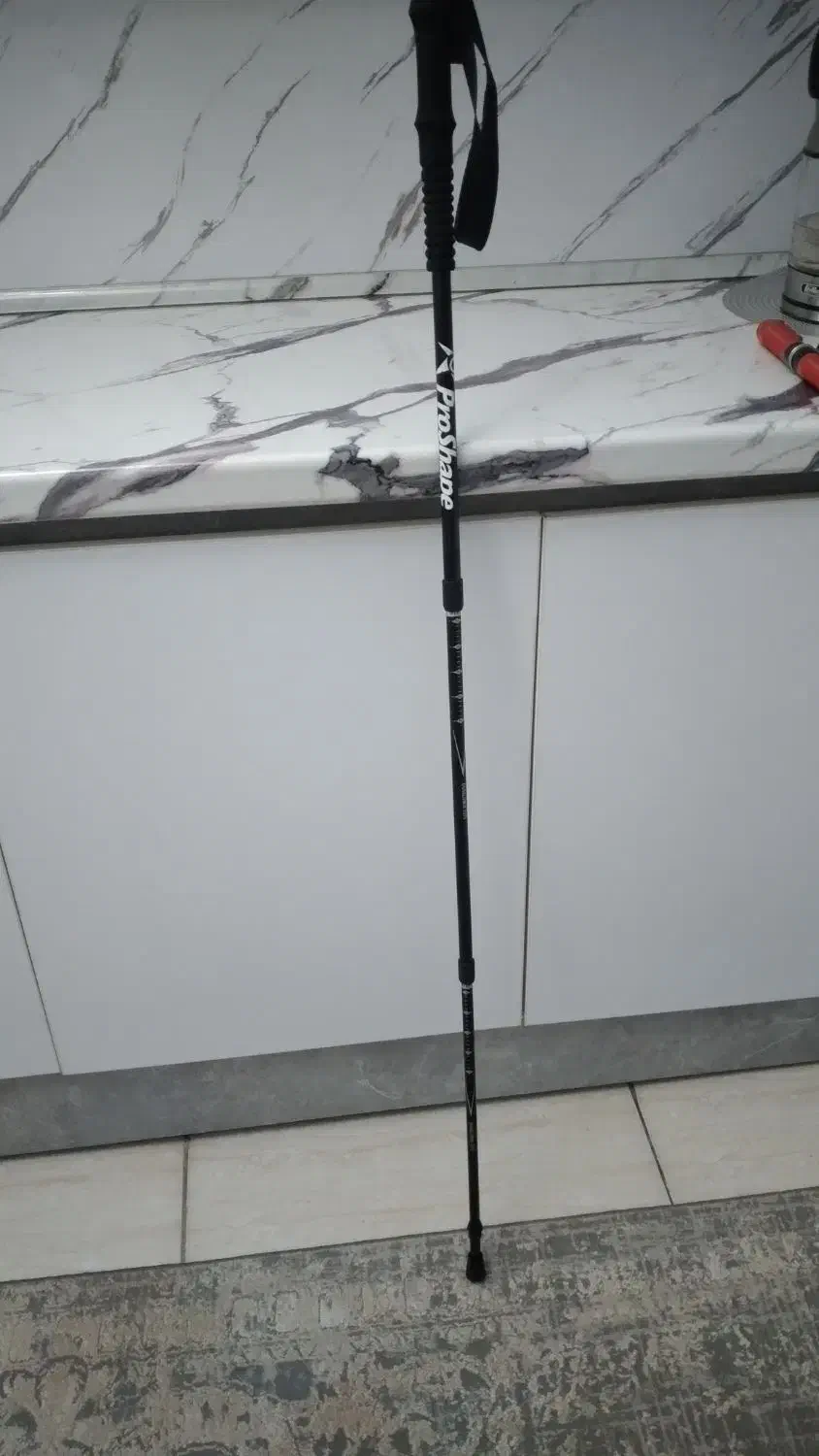 عصا|کوهنوردی و کمپینگ|کرج, حیدرآباد|دیوار