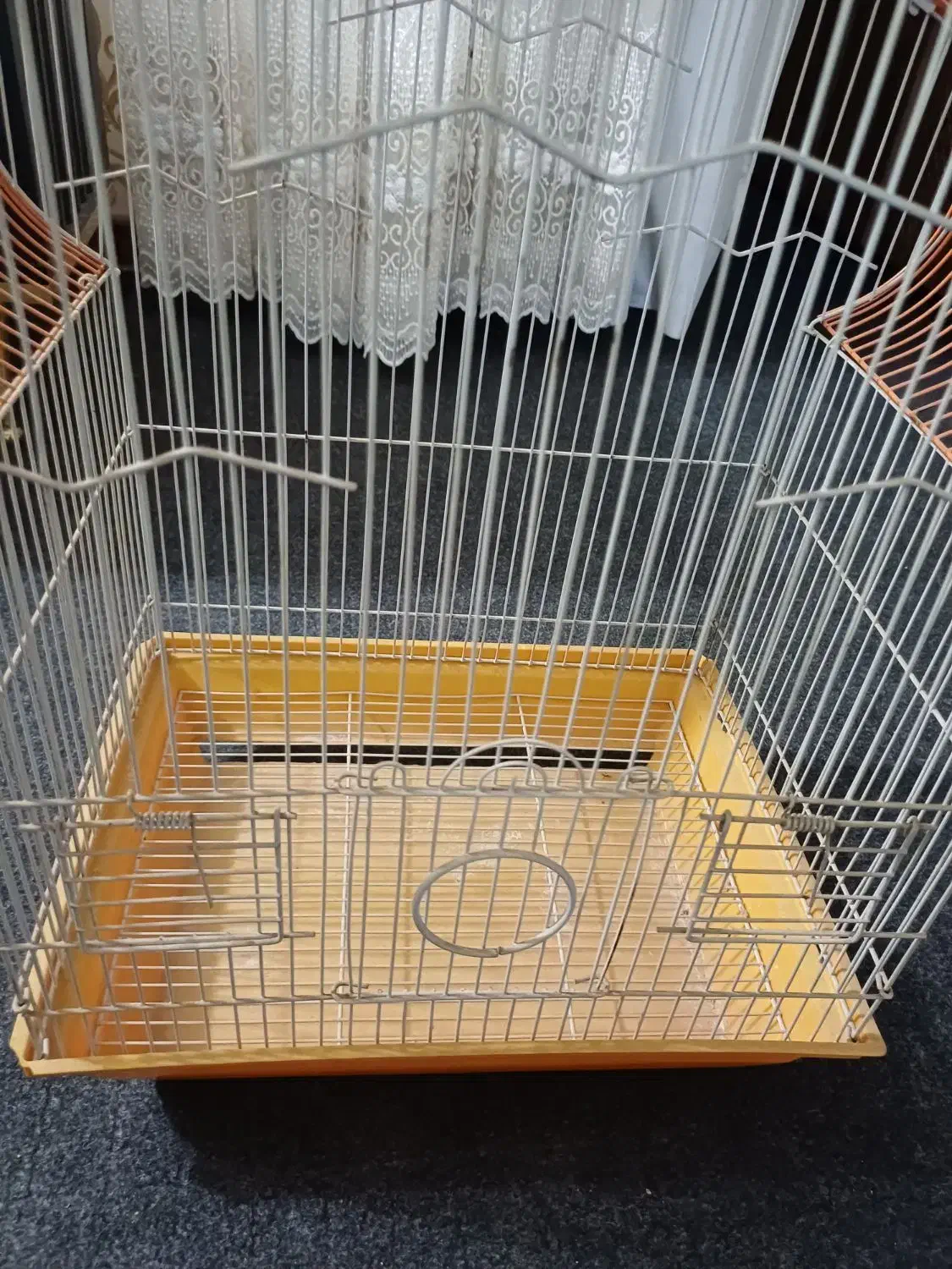 قفس|لوازم جانبی حیوانات|خمینی‌شهر, |دیوار