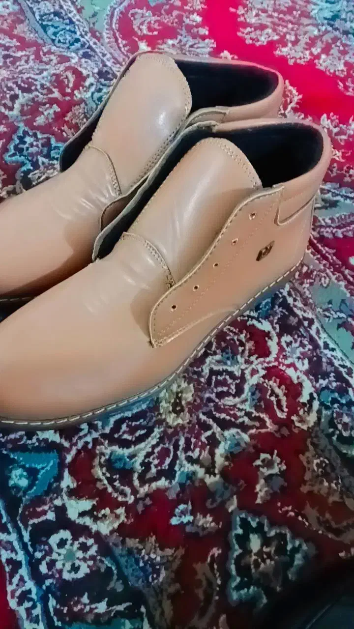 کفش مردانه|کیف، کفش، کمربند|زابل, |دیوار