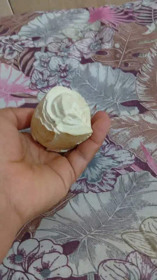 سنگ های کمیاب|کلکسیون اشیاء عتیقه|فیروزآباد (فارس), |دیوار