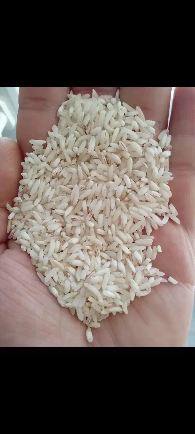 ب رنج صد درصد ایرانی|خوردنی و آشامیدنی|مشگین شهر, |دیوار