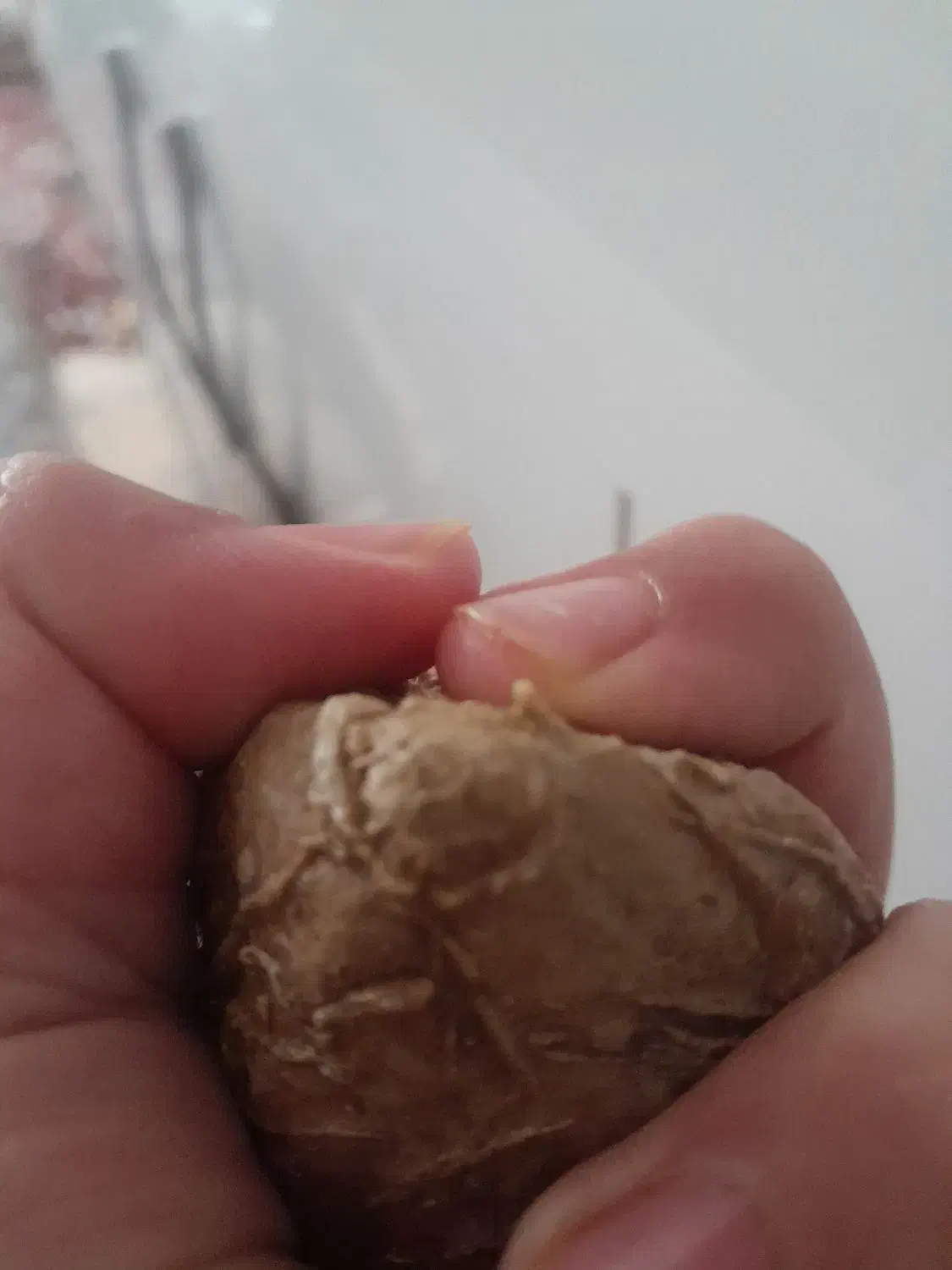 سنگ باستانی|جواهرات|تهران, زعفرانیه|دیوار