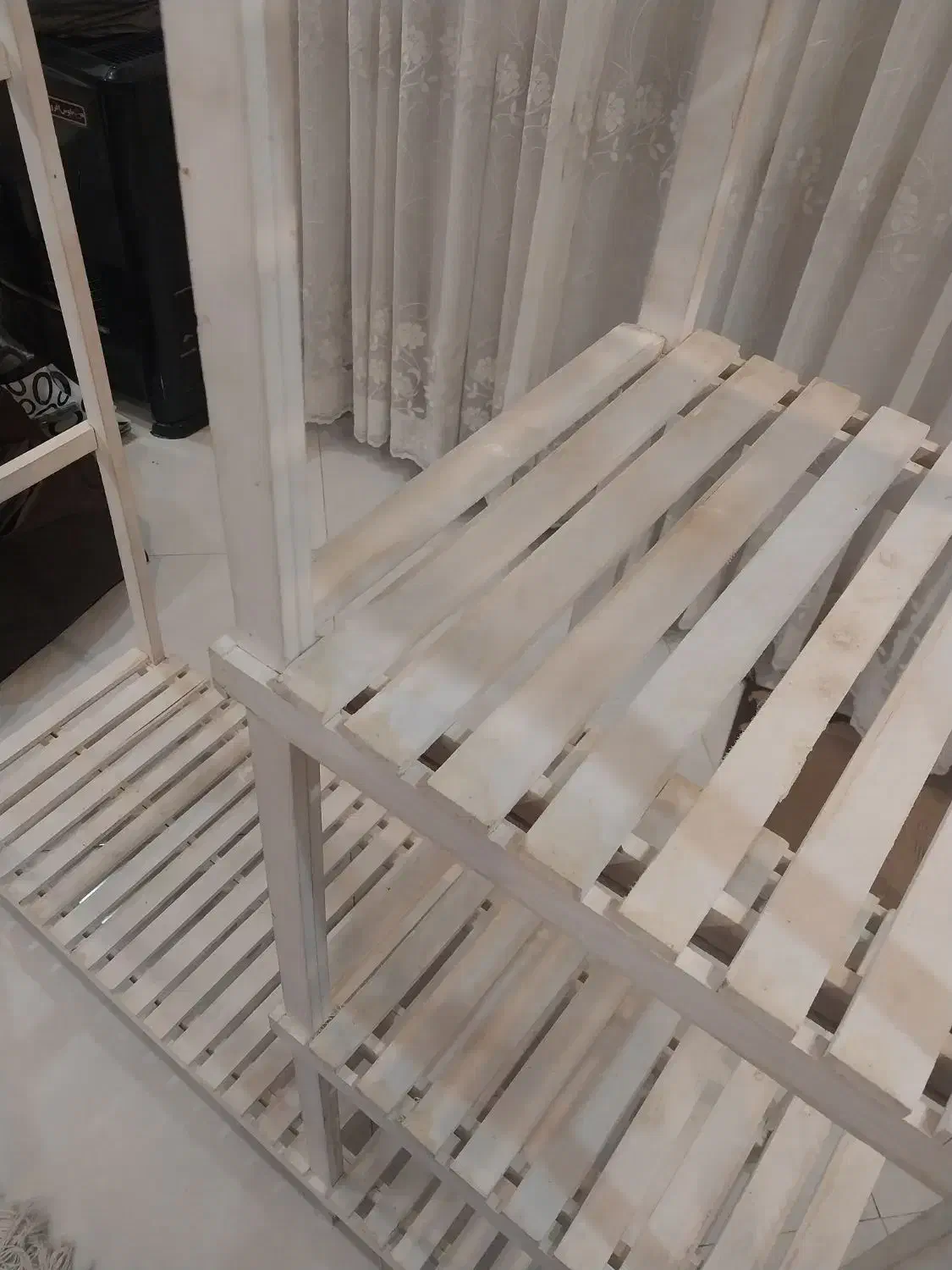 پایه گل|گل و گیاه طبیعی|مشهد, نوید|دیوار