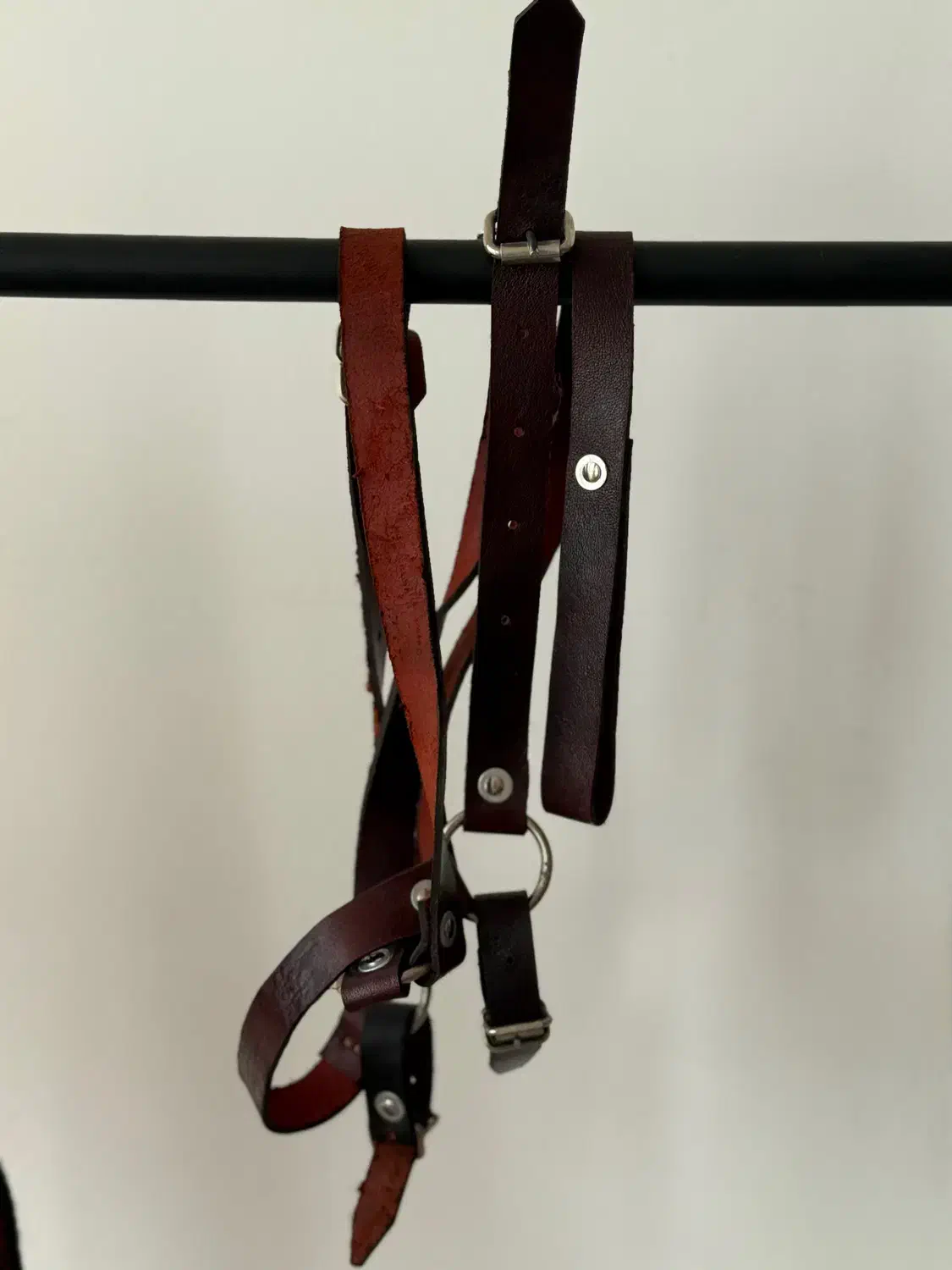 کله گیر خزدار اسب|اسب و تجهیزات اسب‌سواری|لاهیجان, انقلاب|دیوار