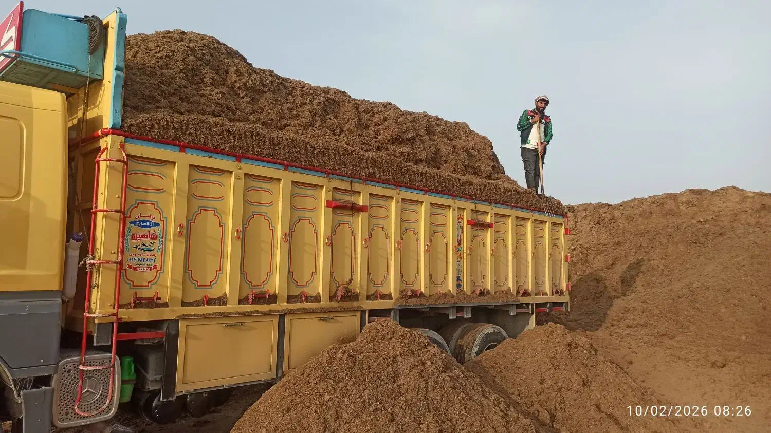 کاه نیشکر|لوازم جانبی حیوانات|ارومیه, |دیوار